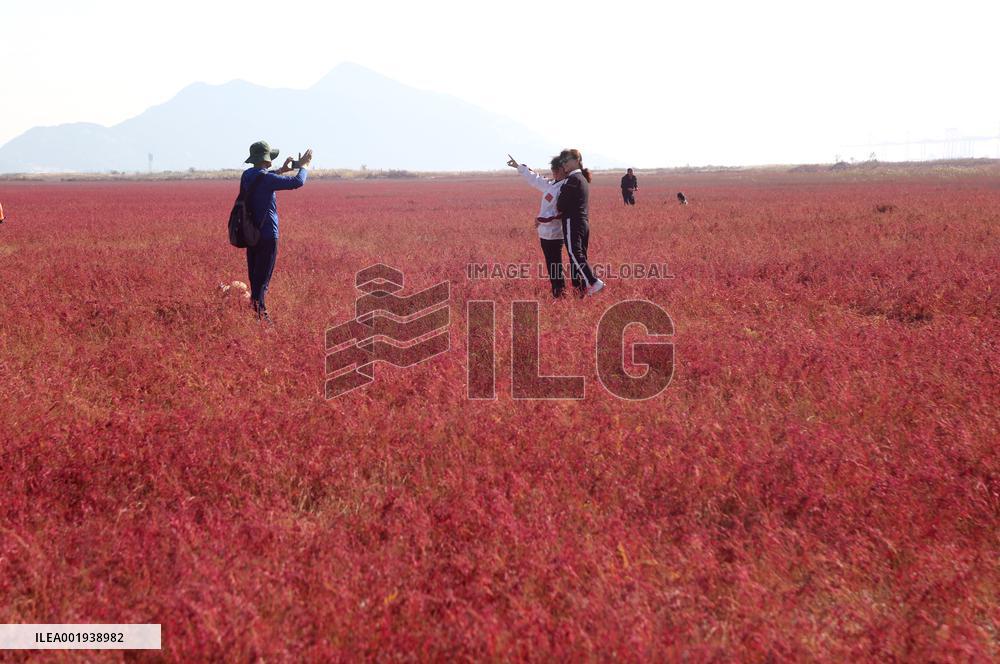 Red Beach Iin Lianyungang