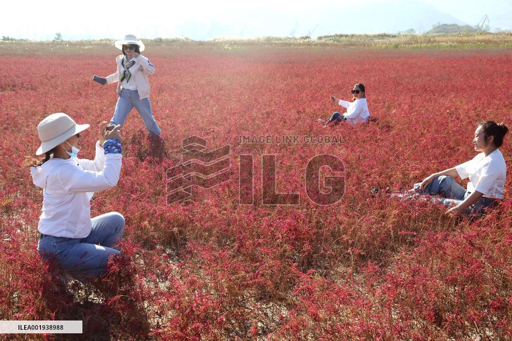 Red Beach Iin Lianyungang