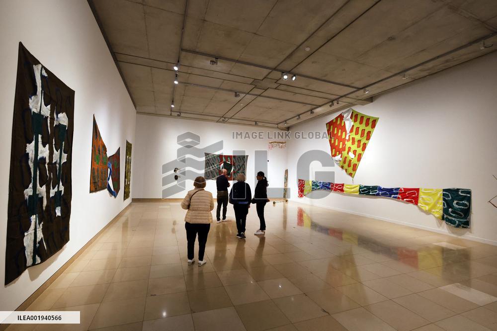 Artist Claude Viallat Exhibition - Nimes