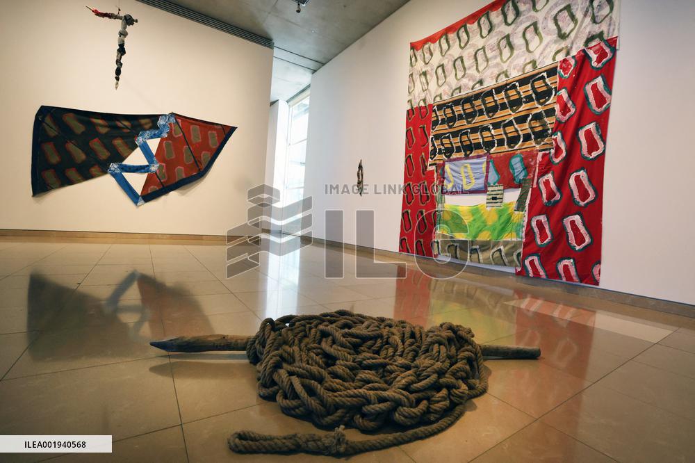 Artist Claude Viallat Exhibition - Nimes