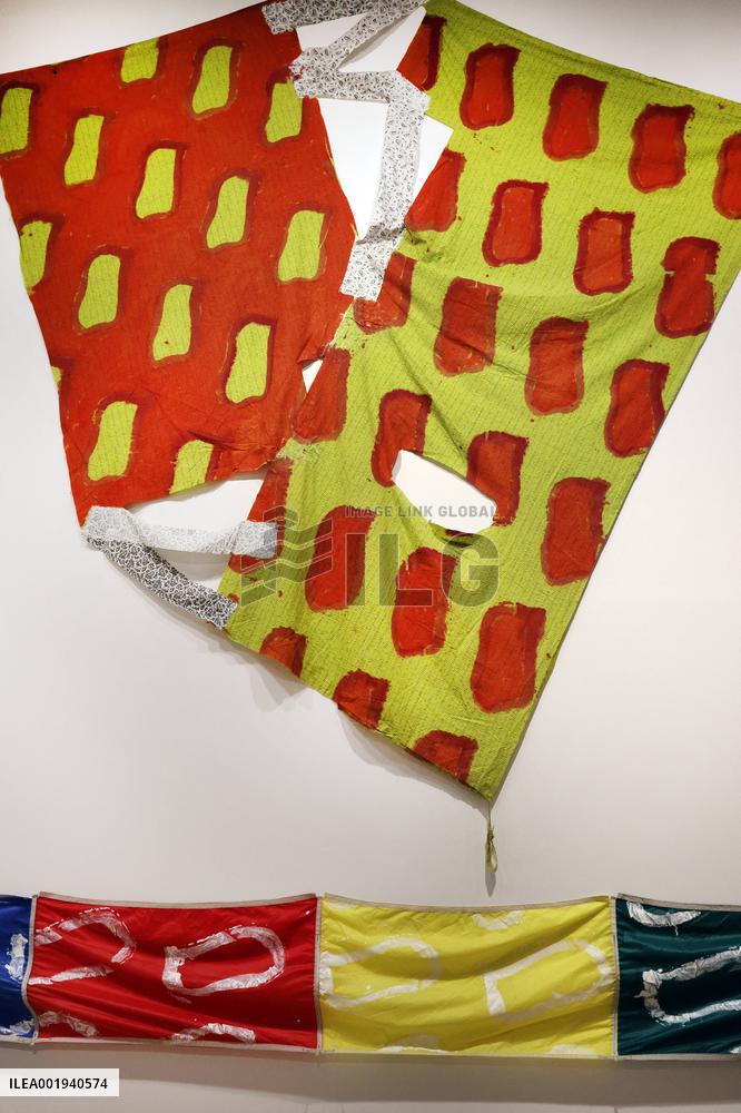 Artist Claude Viallat Exhibition - Nimes