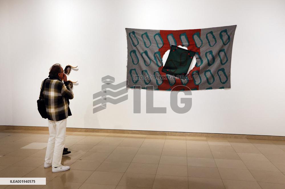 Artist Claude Viallat Exhibition - Nimes