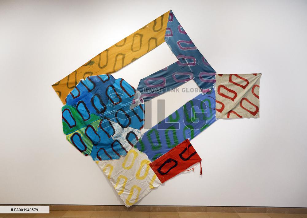 Artist Claude Viallat Exhibition - Nimes