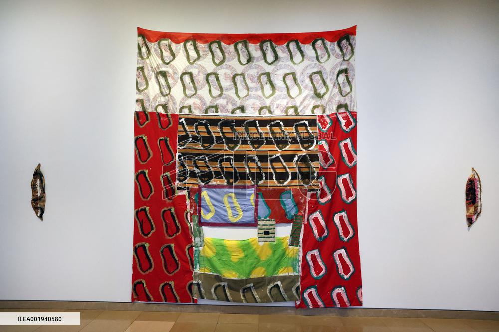 Artist Claude Viallat Exhibition - Nimes