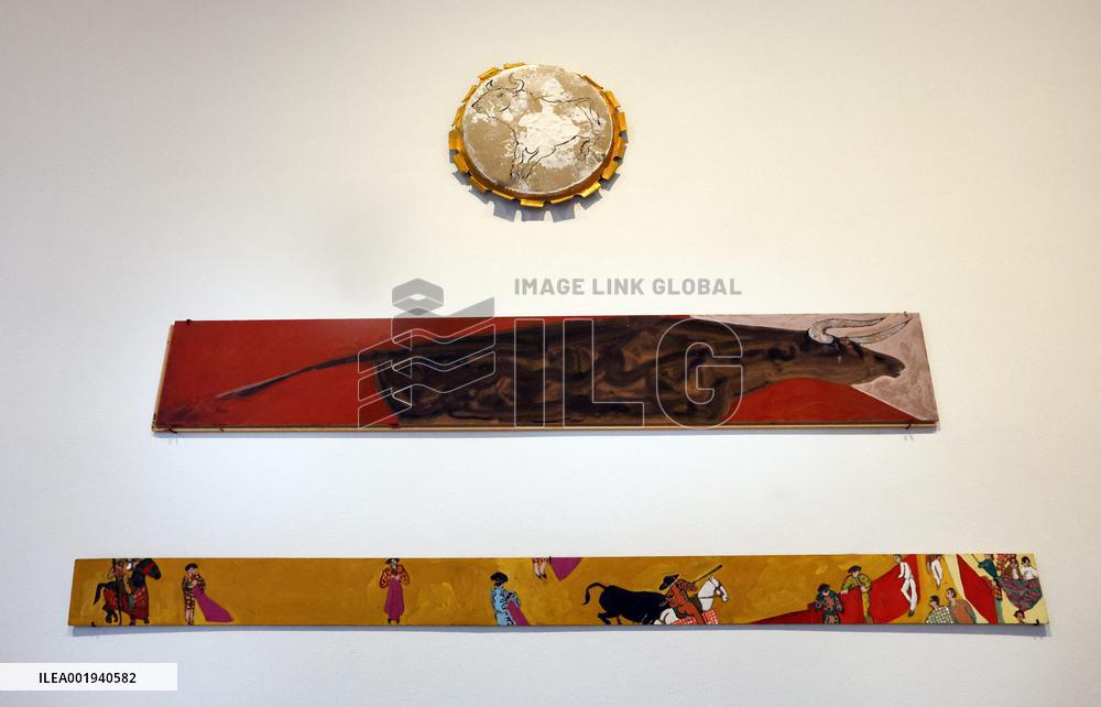Artist Claude Viallat Exhibition - Nimes