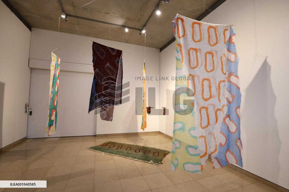 Artist Claude Viallat Exhibition - Nimes