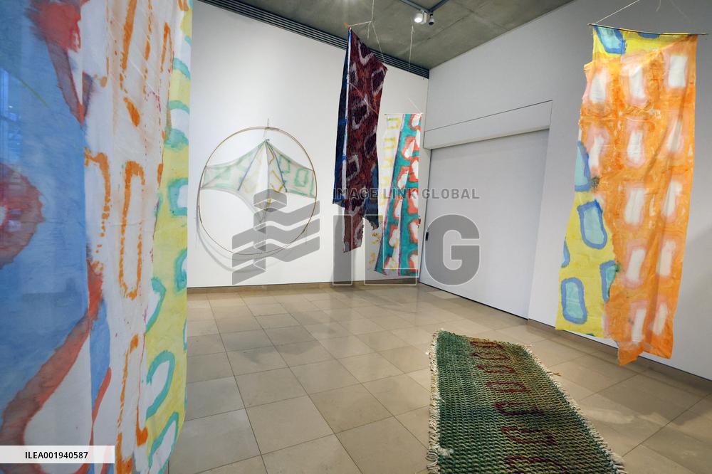 Artist Claude Viallat Exhibition - Nimes