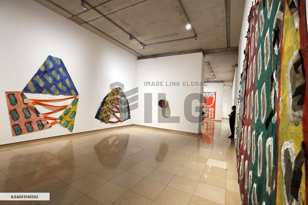 Artist Claude Viallat Exhibition - Nimes