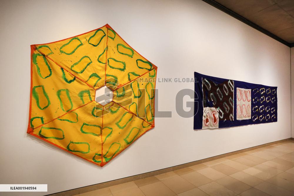 Artist Claude Viallat Exhibition - Nimes