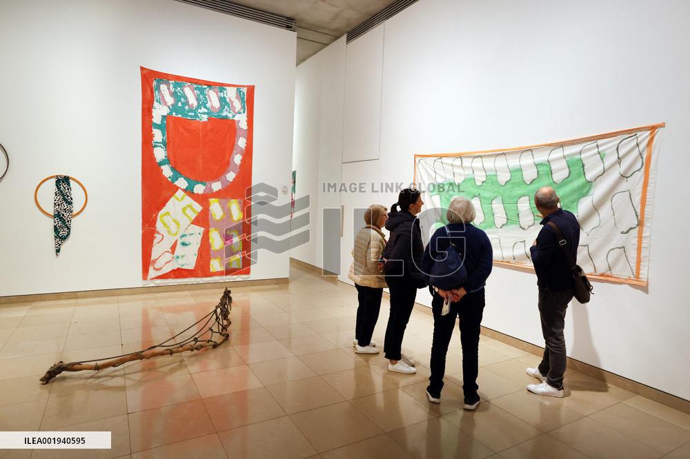 Artist Claude Viallat Exhibition - Nimes