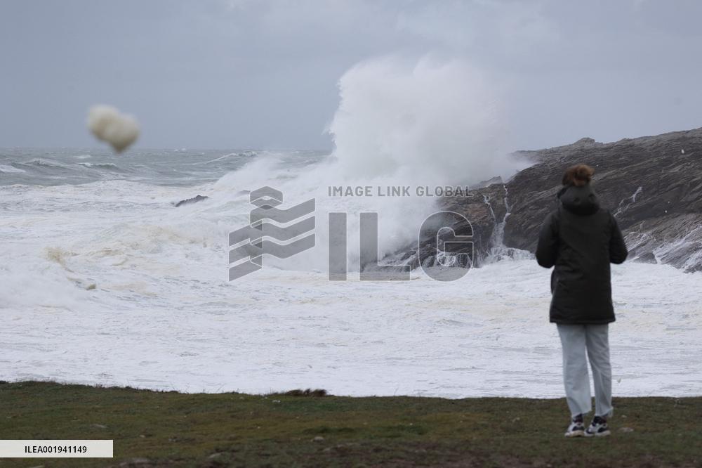 Damage caused by the Ciaran Storm - Morbihan