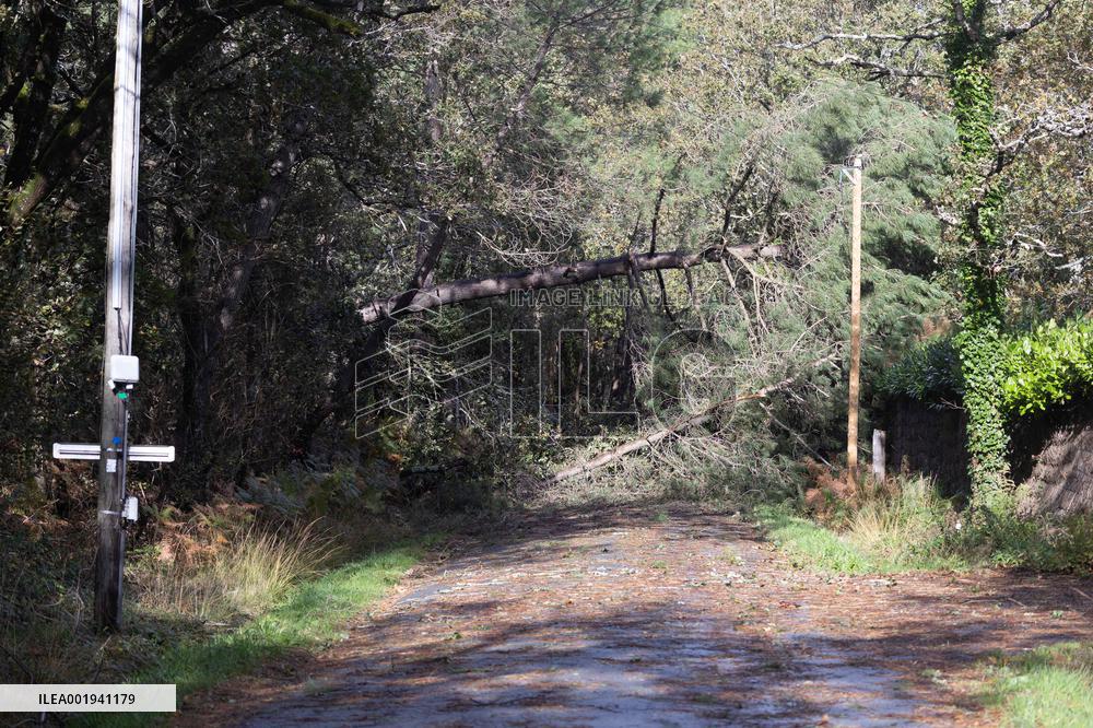 Damage caused by the Ciaran Storm - Morbihan