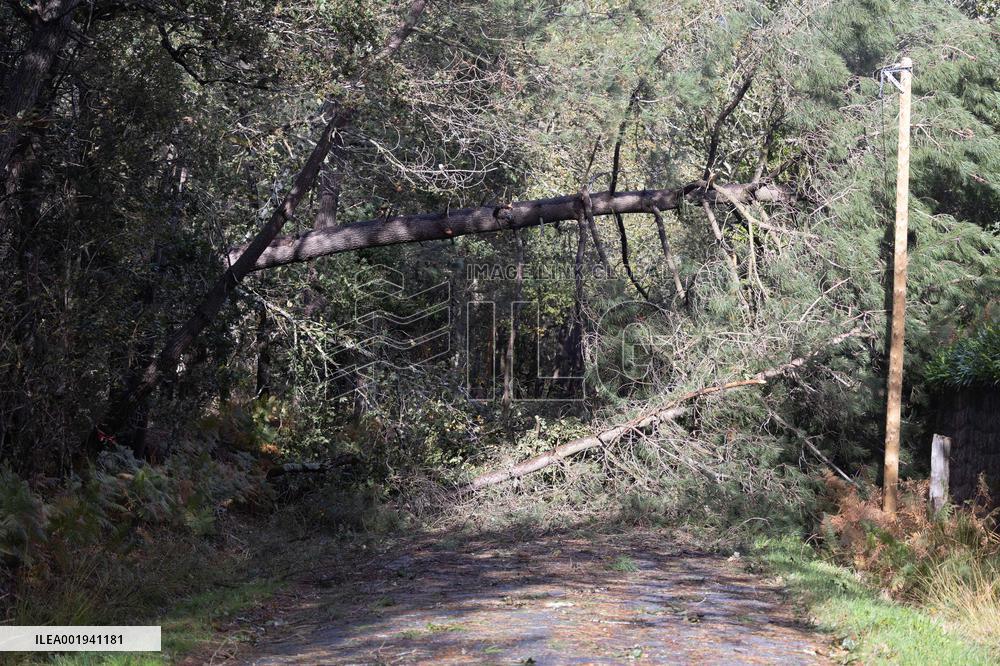 Damage caused by the Ciaran Storm - Morbihan