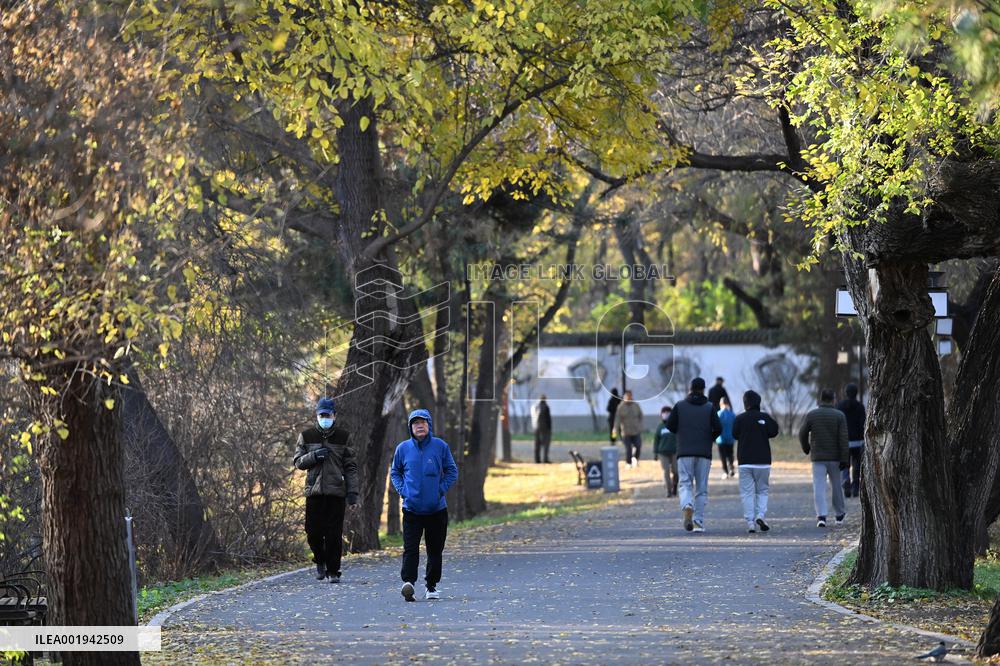 Temperature Sudden Drop in Shenyang