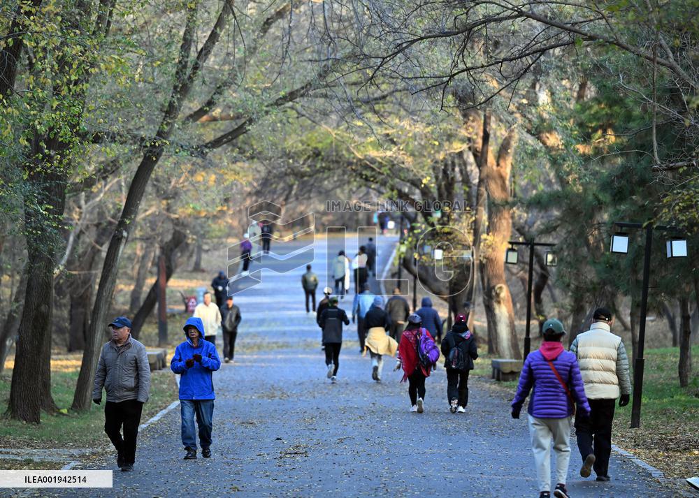 Temperature Sudden Drop in Shenyang