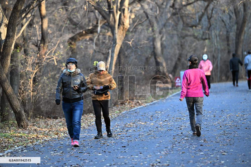Temperature Sudden Drop in Shenyang