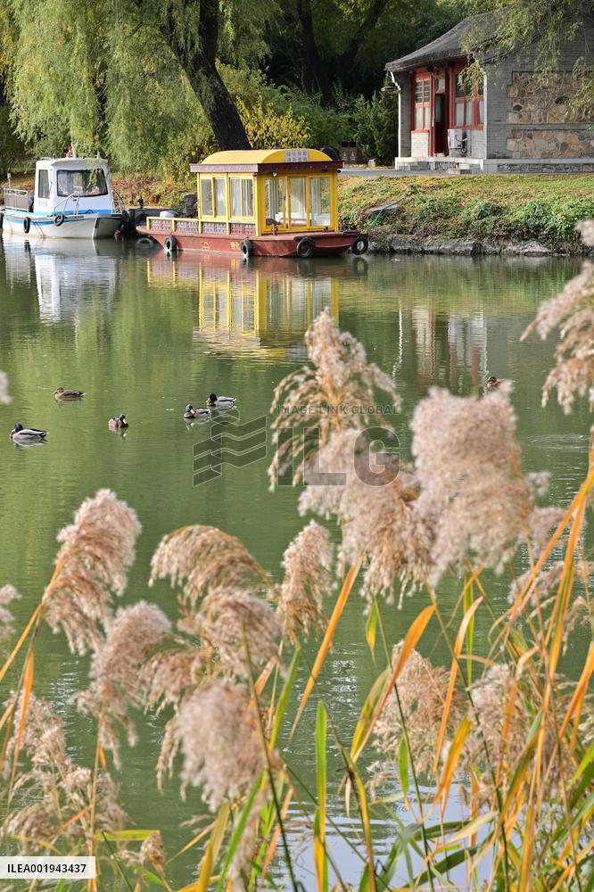 CHINA-BEIJING-SUMMER PALACE-AUTUMN SCENERY (CN)