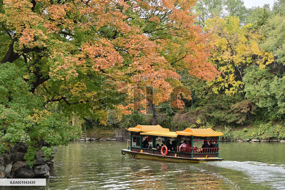 CHINA-BEIJING-SUMMER PALACE-AUTUMN SCENERY (CN)