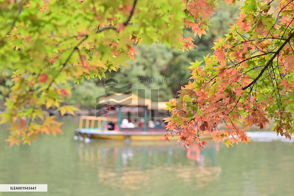 CHINA-BEIJING-SUMMER PALACE-AUTUMN SCENERY (CN)