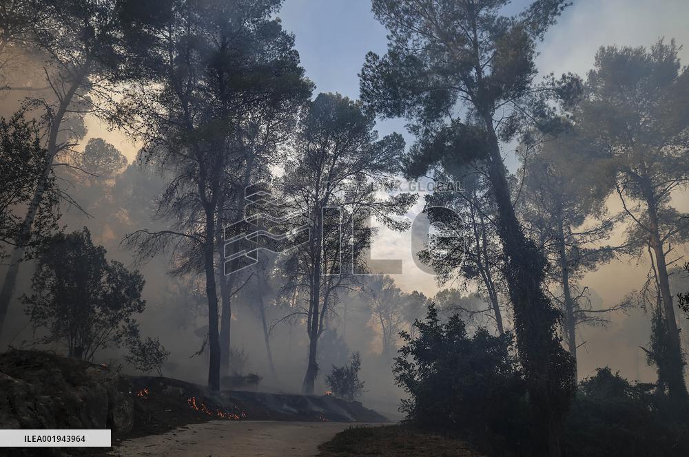 Forest Fire Devastates 2,000 Hectares - Spain