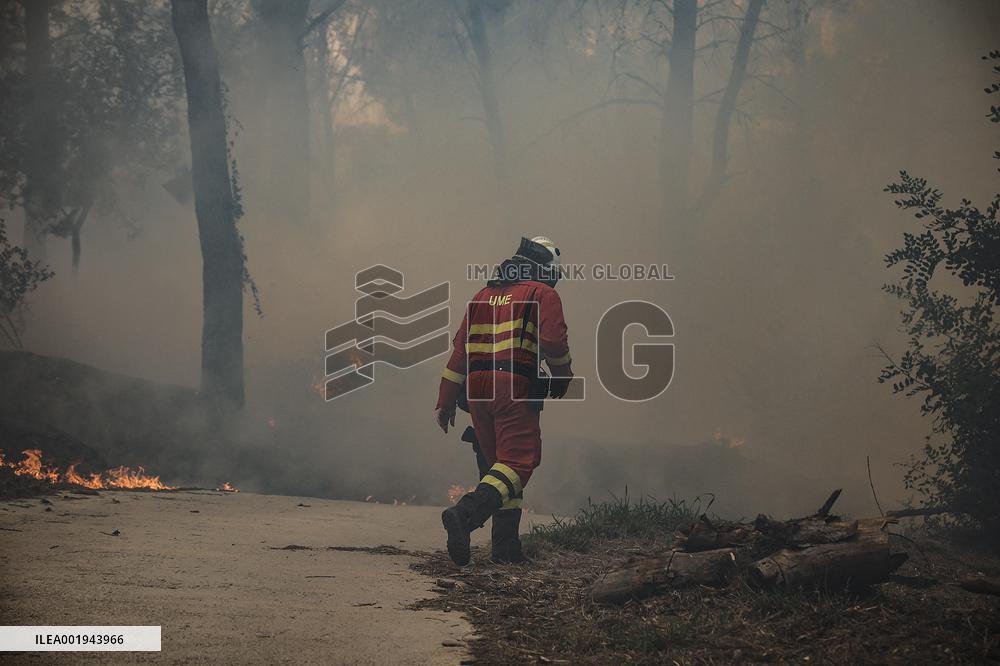 Forest Fire Devastates 2,000 Hectares - Spain