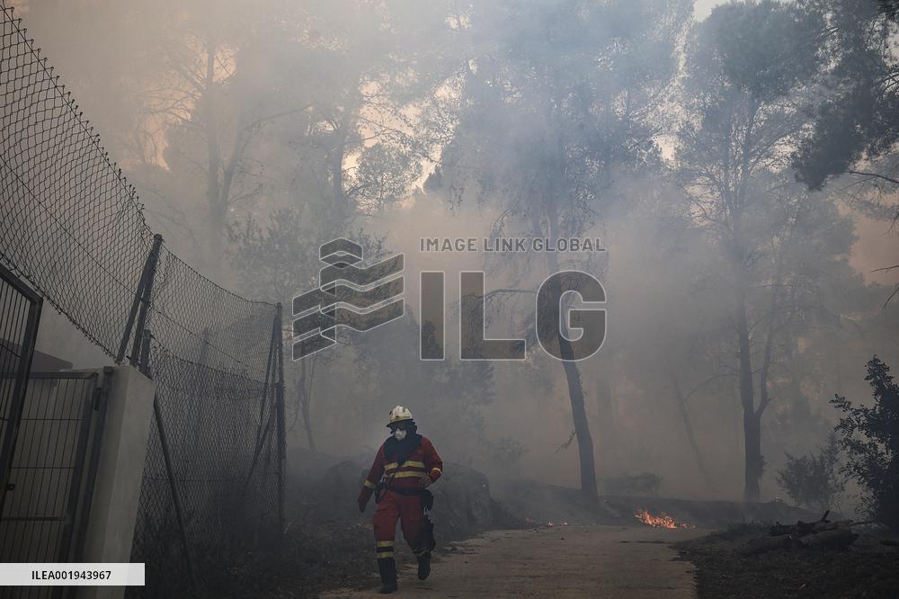 Forest Fire Devastates 2,000 Hectares - Spain