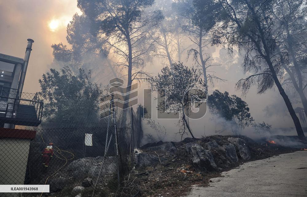 Forest Fire Devastates 2,000 Hectares - Spain