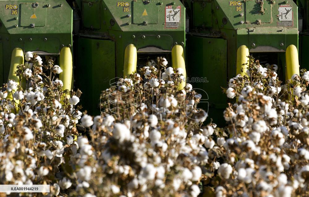 CHINA-XINJIANG-COTTON-HARVEST (CN)