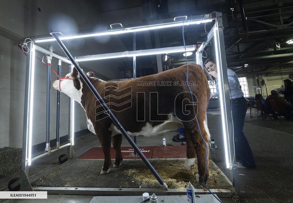 CANADA-TORONTO-ROYAL AGRICULTURAL WINTER FAIR