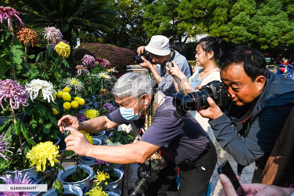 The 35th Chrysanthemum Exhibition in Nanchang