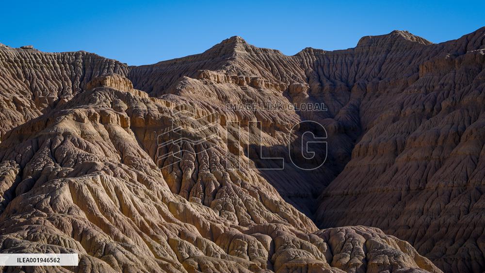 (InTibet)CHINA-TIBET-ZANDA-EARTH FOREST (CN)