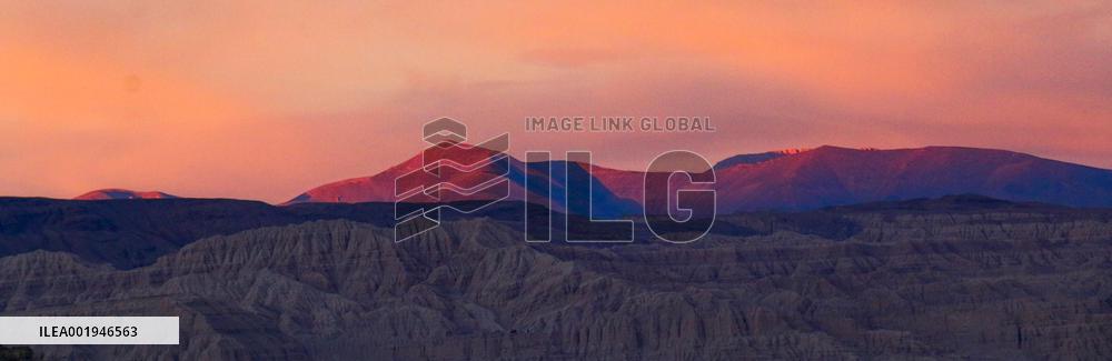 (InTibet)CHINA-TIBET-ZANDA-EARTH FOREST (CN)