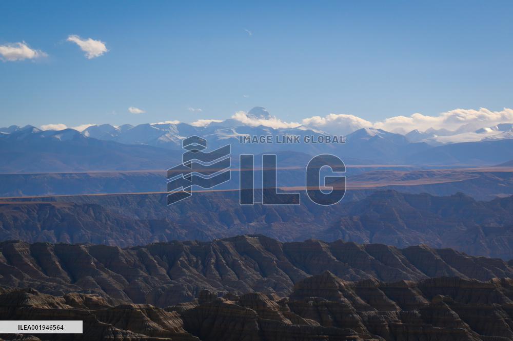 (InTibet)CHINA-TIBET-ZANDA-EARTH FOREST (CN)