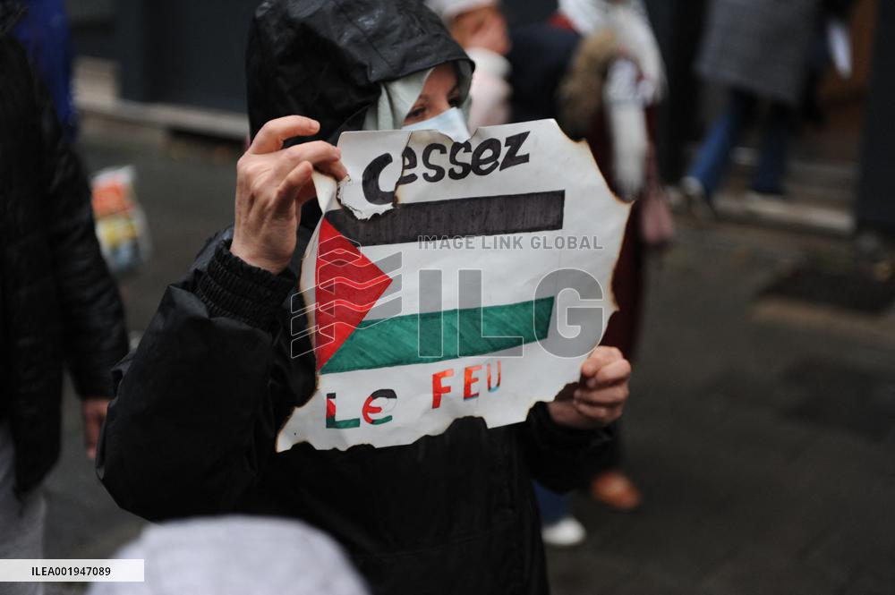 Pro-Palestinian Rally - Lille