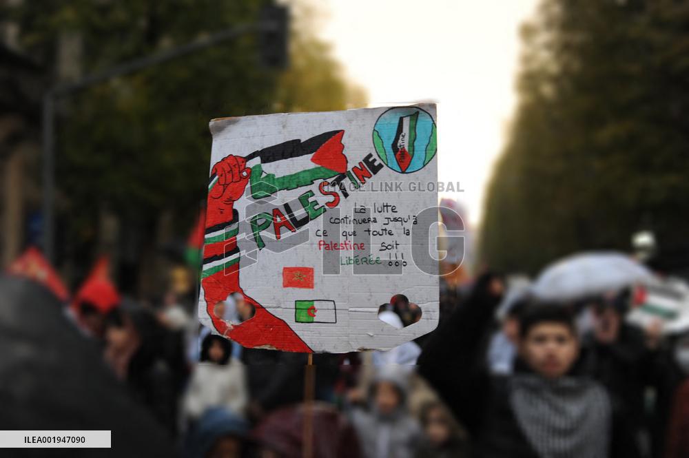 Pro-Palestinian Rally - Lille