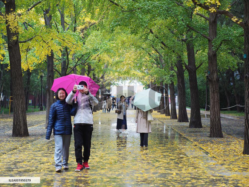 Ditan Park in Beijing