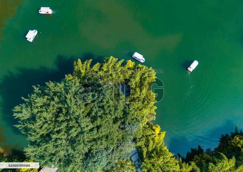 Daily Life in Chongqing