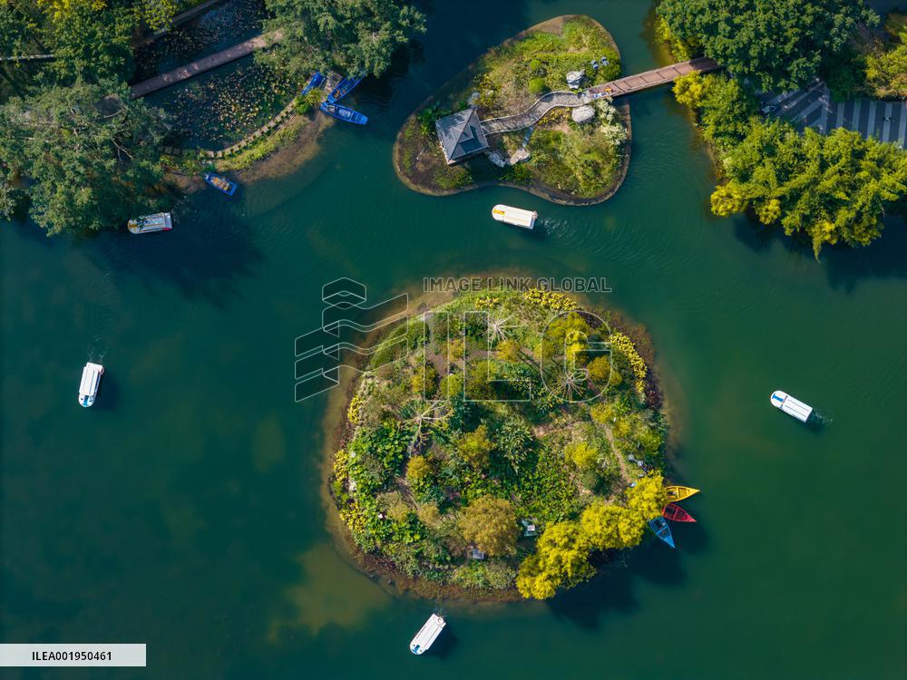 Daily Life in Chongqing