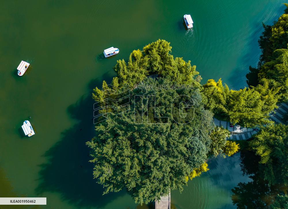 Daily Life in Chongqing