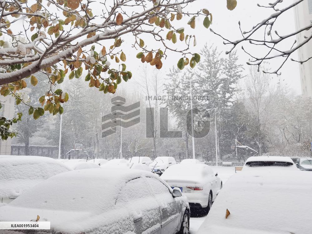 The First Snowstorm Hit Shenyang