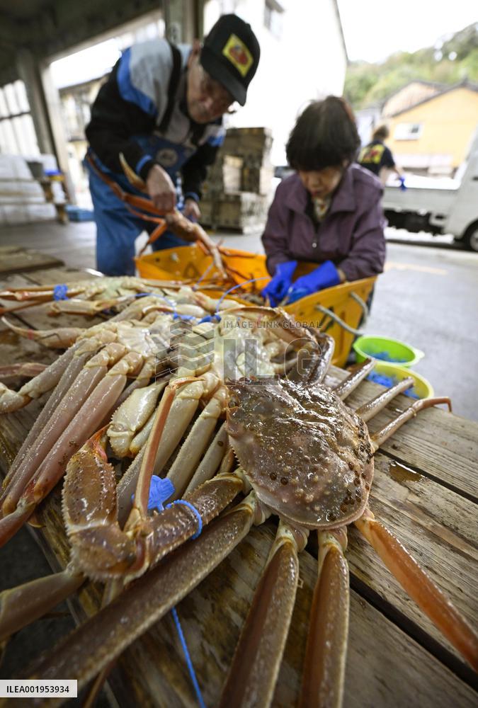 Snow crab fishing season in Japan