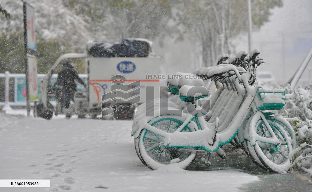 CHINA-LIAONING-SHENYANG-SNOWFALL (CN)