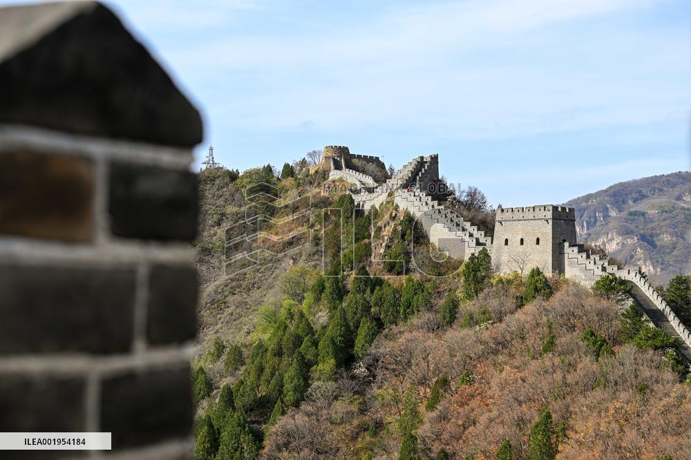 CHINA-TIANJIN-GREAT WALL-AUTUMN SCENERY (CN)