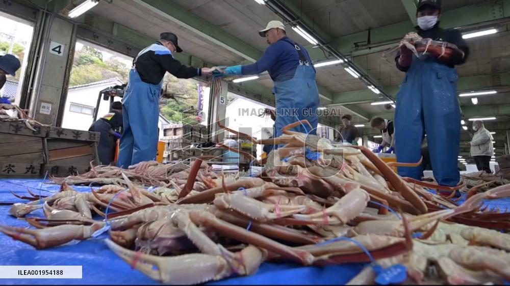 Snow crab fishing season in Japan