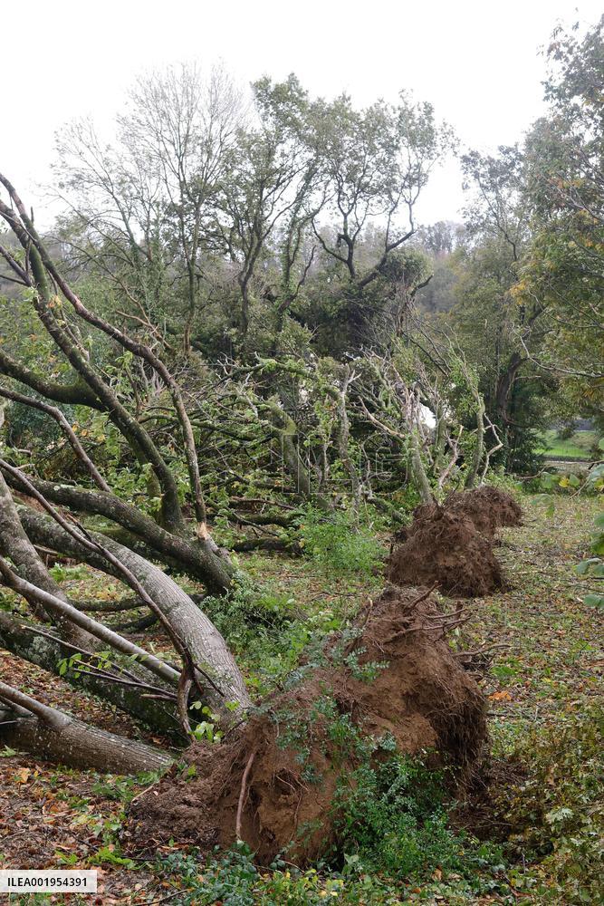 Storm Damage Ciaran In Finistere