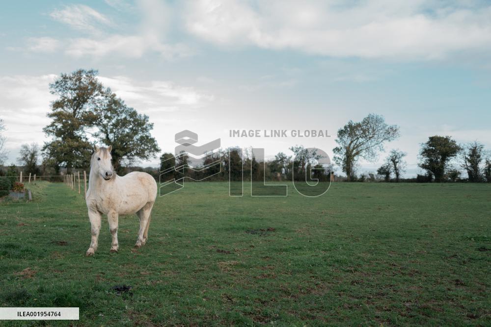 French Prime Minister Elisabeth Borne at « Ecurie des Pommiers » Equestrian Centre in Landes sur Ajon