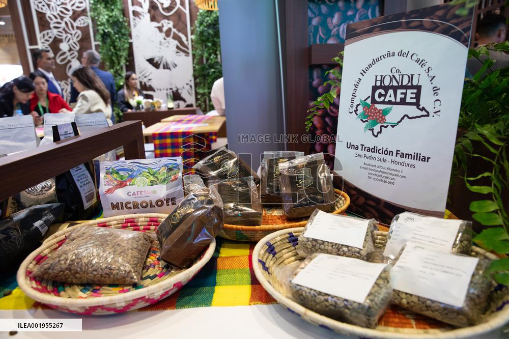 (CIIE) CHINA-SHANGHAI-CIIE-GUEST COUNTRIES OF HONOR (CN)