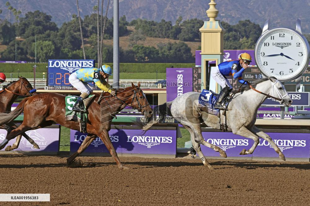 Horse racing: Breeders' Cup series in U.S.