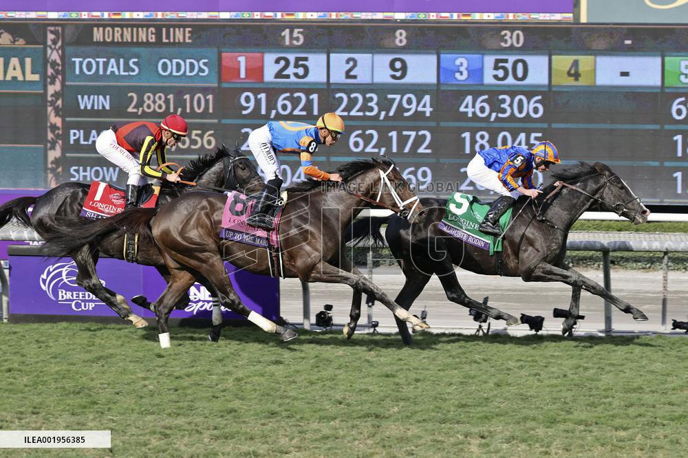 Horse racing: Breeders' Cup series in U.S.