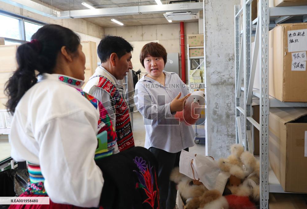 (CIIE)CHINA-CIIE-PERU-ALPACA-FUR TOYS-CRAFTSMAN(CN)